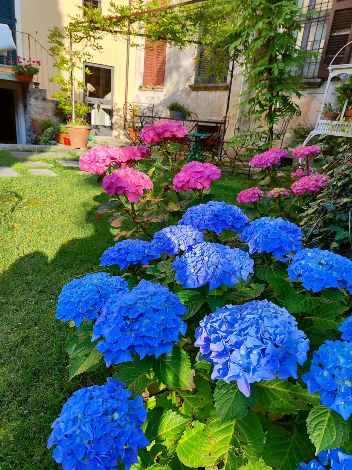 Bed and Breakfast Casa Lumaca Tremezzo Exterior foto